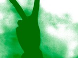 green_rabbit